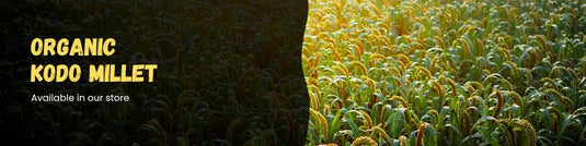 Kodo Millet