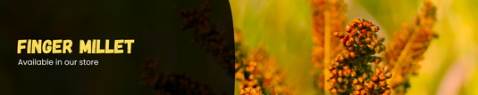Organic Finger Millet